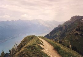 ridgetop above Brienzersee