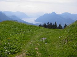 path towards Rigi