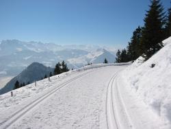 immaculate Winter path