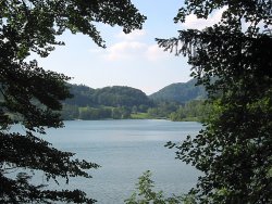 Türlersee