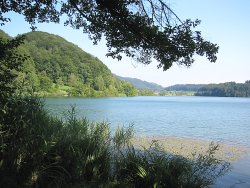 Türlersee