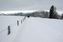 towards Rigi